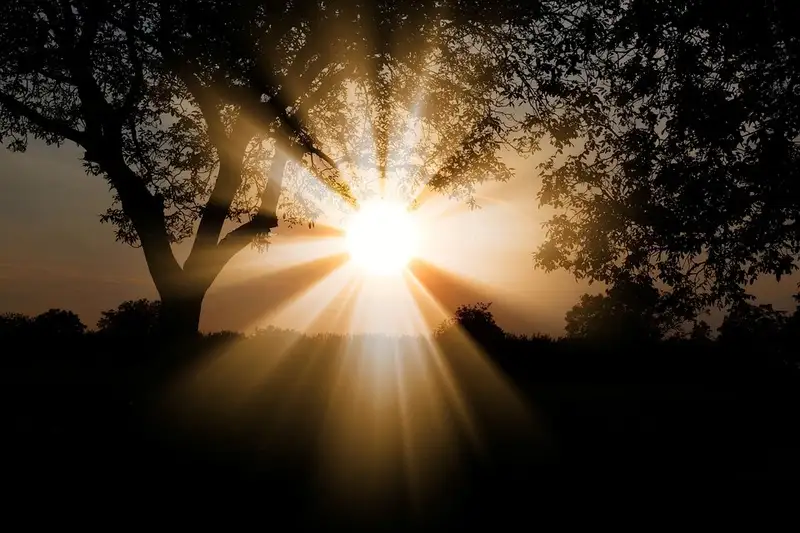 sun dawn nature
